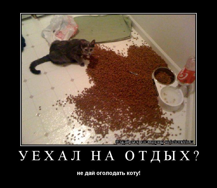 Котоматрица: УЕХАЛ НА ОТДЫХ? не дай оголодать коту!