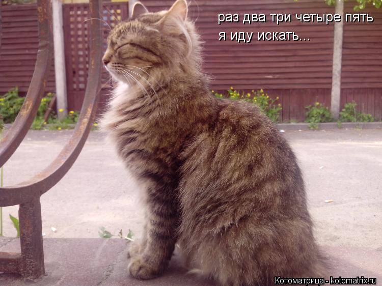 раз два три четыре пять я иду искать...... Котоматрица: раз два три четыре пять я иду искать...