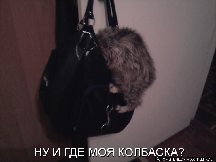 НУ И ГДЕ МОЯ КОЛБАСКА?... Котоматрица: НУ И ГДЕ МОЯ КОЛБАСКА?