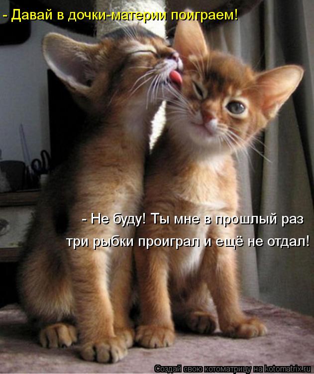 - Не буду! Ты мне в прошлый раз три рыбки проиграл и ещё не отдал! - Давай в дочки-материи поиграем!... Котоматрица: - Не буду! Ты мне в прошлый раз три рыбки проиграл и ещё не отдал! - Давай в дочки-материи поиграем!