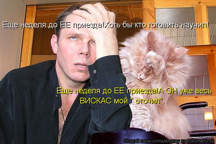 Еще неделя до ЕЕ приезда!Хоть бы кто готовить научил! Еще неделя до ЕЕ приезда!А ОН уже весь ВИСКАС м... Котоматрица: Еще неделя до ЕЕ приезда!Хоть бы кто готовить научил! Еще неделя до ЕЕ приезда!А ОН уже весь ВИСКАС мой " сточил".