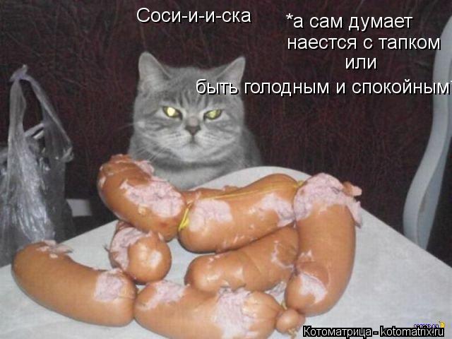 Соси-и-и-ска *а сам думает наестся с тапком или быть голодным и спокойным*... Котоматрица: Соси-и-и-ска *а сам думает наестся с тапком или быть голодным и спокойным*