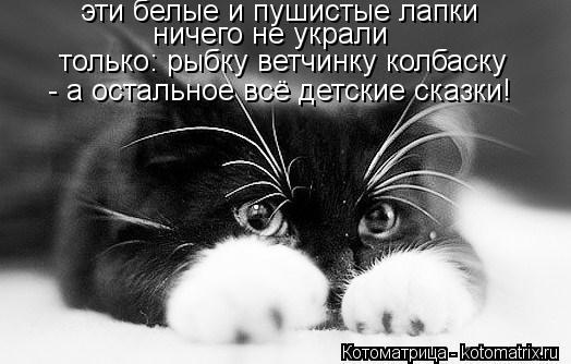 эти белые и пушистые лапки ничего не украли только: рыбку ветчинку колбаску - а остальное всё детские... Котоматрица: эти белые и пушистые лапки ничего не украли только: рыбку ветчинку колбаску - а остальное всё детские сказки!