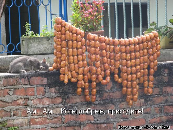 Ам...Ам... Коты добрые, приходите!... Котоматрица: Ам...Ам... Коты добрые, приходите!
