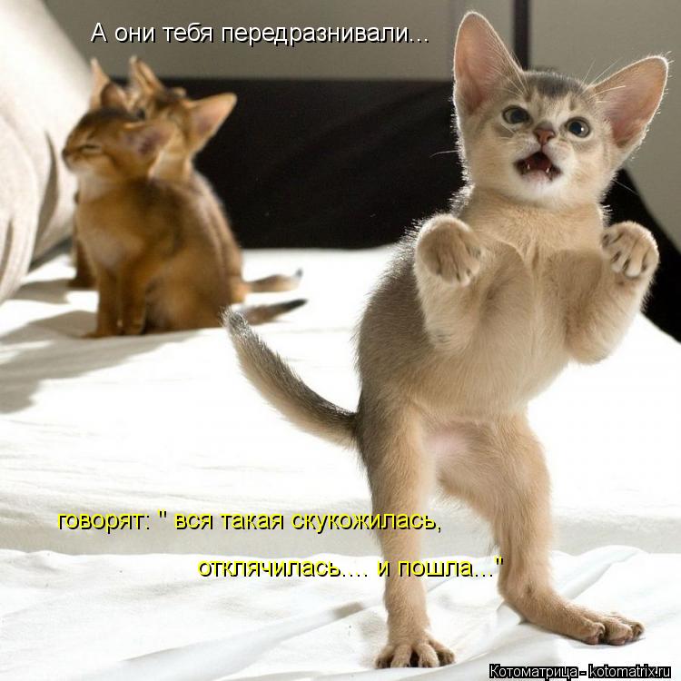 Котоматрица: А они тебя передразнивали... говорят: " вся такая скукожилась, отклячилась.... и пошла..."