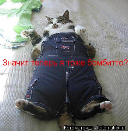 Значит теперь я тоже бомбитто?... Котоматрица: Значит теперь я тоже бомбитто?