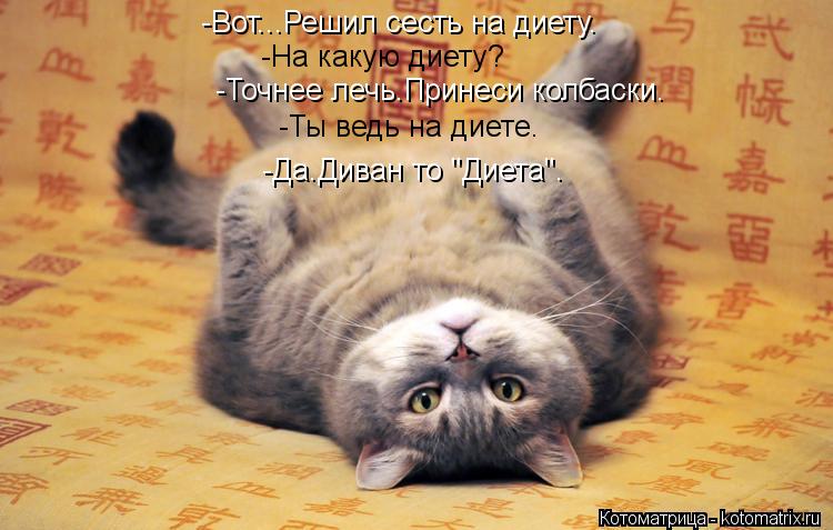 Котоматрица: -Вот...Решил сесть на диету. -На какую диету? -Точнее лечь.Принеси колбаски. -Ты ведь на диете. -Да.Диван то "Диета".