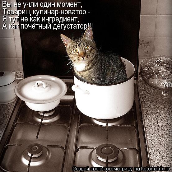 Котоматрица: Вы не учли один момент, Товарищ кулинар-новатор - Я тут не как ингредиент, А как почётный дегустатор!!!