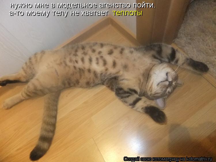 нужно мне в модельное агенство пойти. а-то моему телу не хватает теплоты... Котоматрица: нужно мне в модельное агенство пойти. а-то моему телу не хватает теплоты