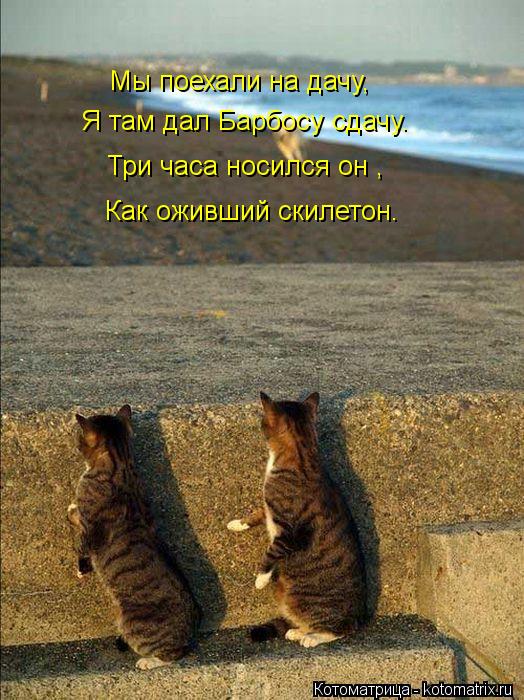 Мы поехали на дачу, Я там дал Барбосу сдачу. Три часа носился он , Как оживший скилетон.... Котоматрица: Мы поехали на дачу, Я там дал Барбосу сдачу. Три часа носился он , Как оживший скилетон.