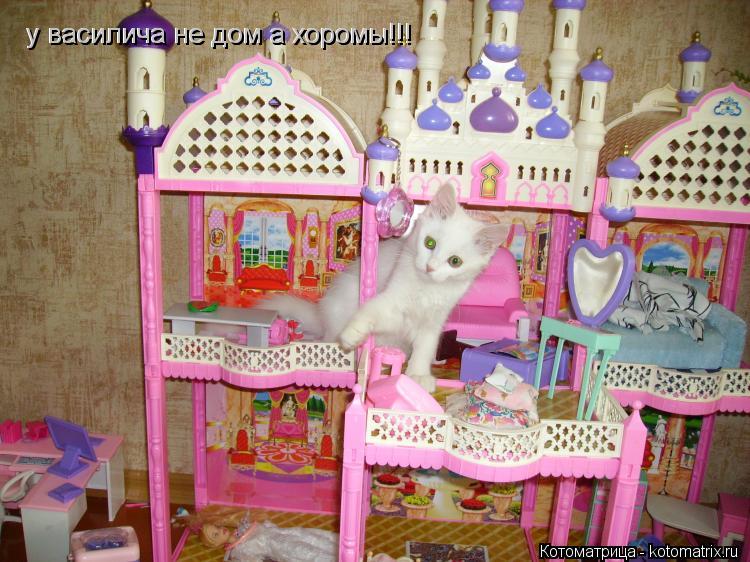 у василича не дом а хоромы!!! у василича не дом а хоромы!!!... Котоматрица: у василича не дом а хоромы!!! у василича не дом а хоромы!!!
