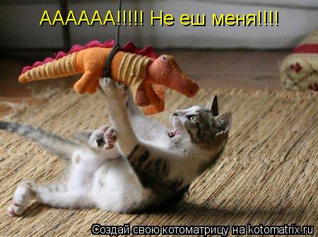 АААААА!!!!! Не еш меня!!!!... Котоматрица: АААААА!!!!! Не еш меня!!!!