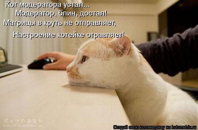 Кот модератора устал... Модератор, блин, достал! Матрицы в круть не отправляет, Настроение котейке от... Котоматрица: Кот модератора устал... Модератор, блин, достал! Матрицы в круть не отправляет, Настроение котейке отравляет!