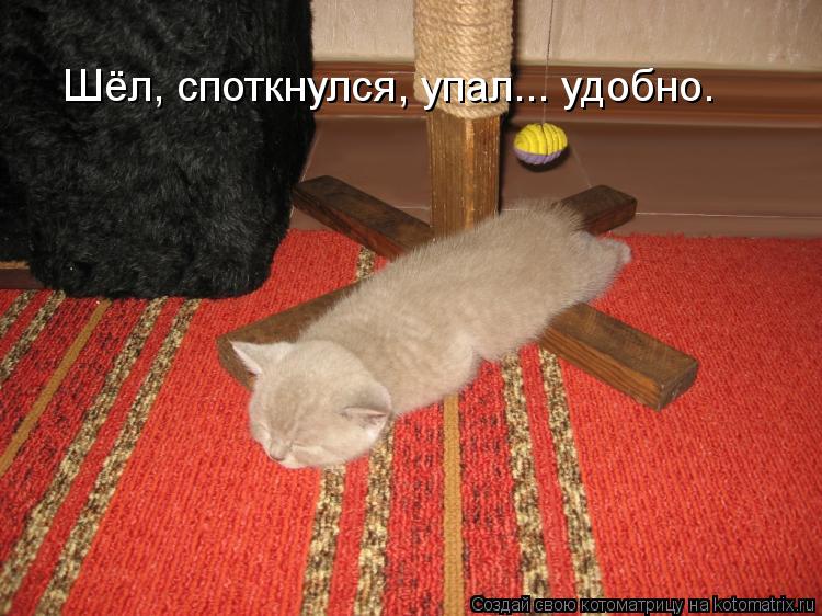 Шёл, споткнулся, упал... удобно.... Котоматрица: Шёл, споткнулся, упал... удобно.