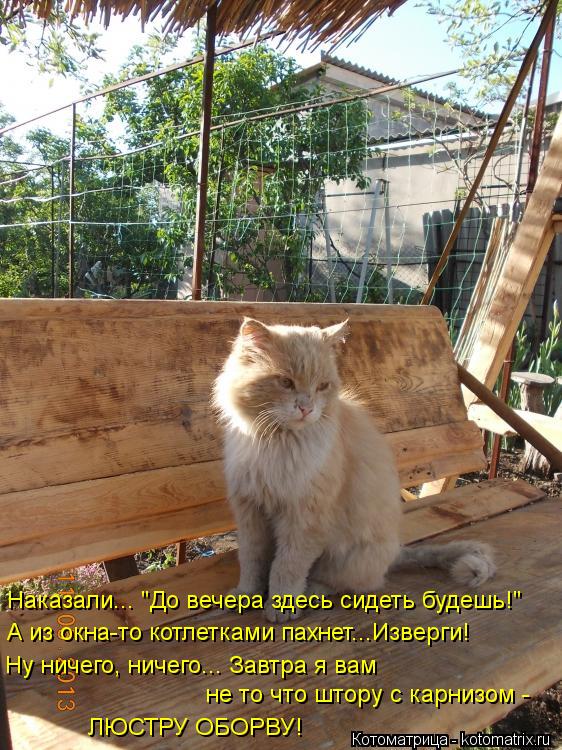 Наказали... "До вечера здесь сидеть будешь!" А из окна-то котлетками пахнет...Изверги! Ну ничего, нич... Котоматрица: Наказали... "До вечера здесь сидеть будешь!" А из окна-то котлетками пахнет...Изверги! Ну ничего, ничего... Завтра я вам не то что штору с карниз