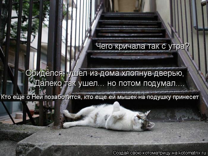 Котоматрица: Обиделся, ушел из дома хлопнув дверью, Далеко так ушел... но потом подумал.... Кто еще о Ней позаботится, кто еще ей мышек  Кто еще о Ней позабот