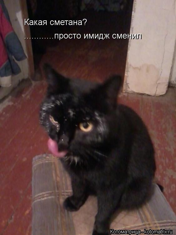 Какая сметана? ............просто имидж сменил... Котоматрица: Какая сметана? ............просто имидж сменил