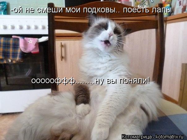-ой не смеши мои подковы.. поесть лапы оооооффф........ну вы поняли!... Котоматрица: -ой не смеши мои подковы.. поесть лапы оооооффф........ну вы поняли!