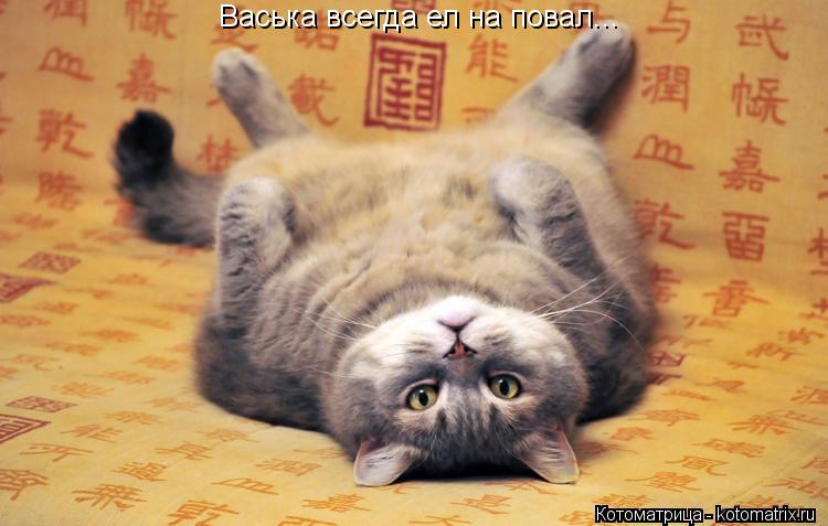 Васька всегда ел на повал...... Котоматрица: Васька всегда ел на повал...