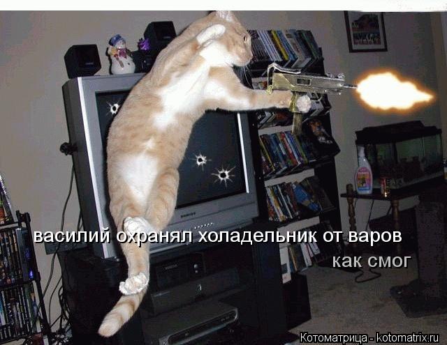 василий охранял холадельник от варов как смог... Котоматрица: василий охранял холадельник от варов как смог