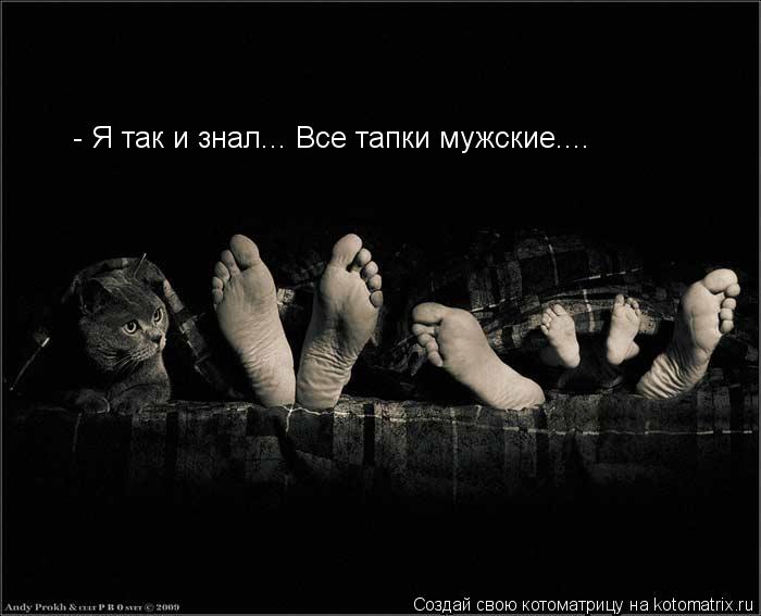 - Я так и знал... Все тапки мужские....... Котоматрица: - Я так и знал... Все тапки мужские....