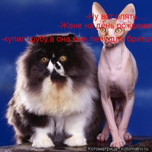-Ну вот опять.... -Жене на день рождения -купил шубу,а она мне пену для бритья... Котоматрица: -Ну вот опять.... -Жене на день рождения -купил шубу,а она мне пену для бритья