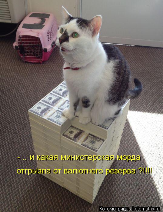 - .. и какая министерская морда отгрызла от валютного резерва ?!!!!... Котоматрица: - .. и какая министерская морда отгрызла от валютного резерва ?!!!!