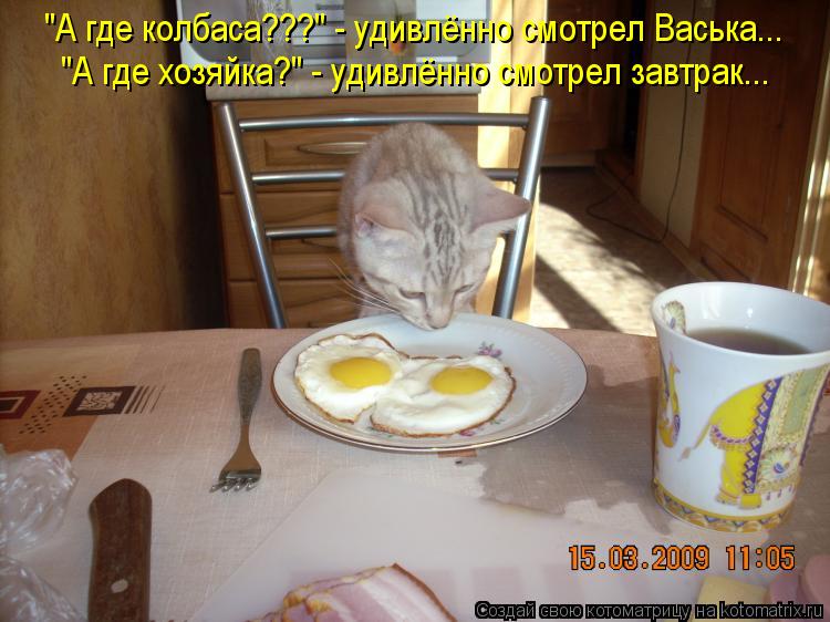 Котоматрица: "А где колбаса???" - удивлённо смотрел Васька... "А где хозяйка?" - удивлённо смотрел завтрак...