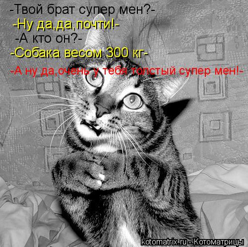 -Твой брат супер мен?- -Ну да,да,почти!- -А кто он?- -Собака весом 300 кг- -А ну да,очень у тебя толс... Котоматрица: -Твой брат супер мен?- -Ну да,да,почти!- -А кто он?- -Собака весом 300 кг- -А ну да,очень у тебя толстый супер мен!-