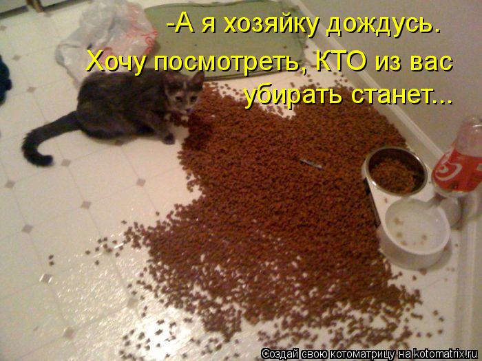 -А я хозяйку дождусь. Хочу посмотреть, КТО из вас убирать станет...... Котоматрица: -А я хозяйку дождусь. Хочу посмотреть, КТО из вас убирать станет...