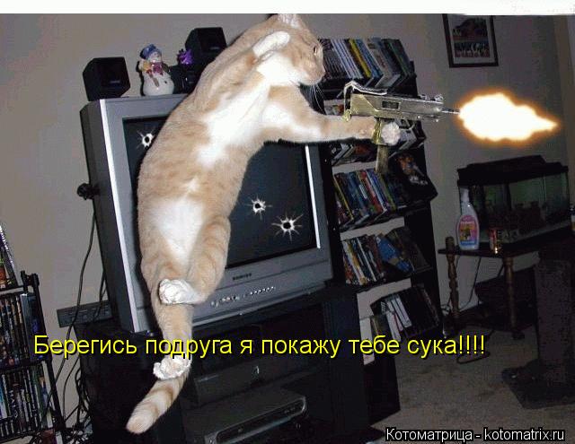 Берегись подруга я покажу тебе сука!!!!... Котоматрица: Берегись подруга я покажу тебе сука!!!!