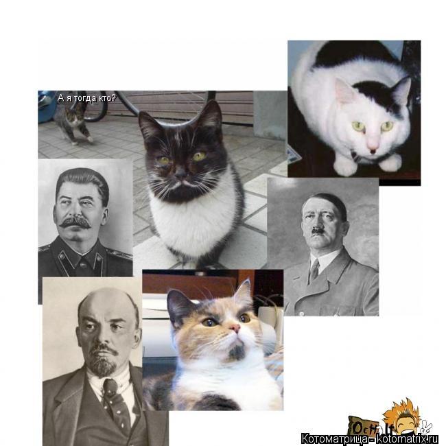 А я тогда кто?... Котоматрица: А я тогда кто?