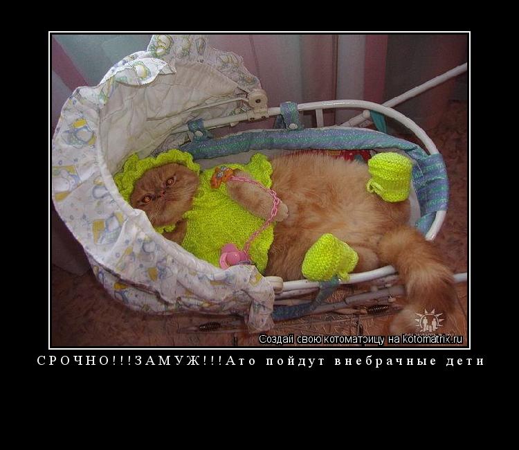 СРОЧНО!!!ЗАМУЖ!!!Ато пойдут внебрачные дети ... Котоматрица: СРОЧНО!!!ЗАМУЖ!!!Ато пойдут внебрачные дети