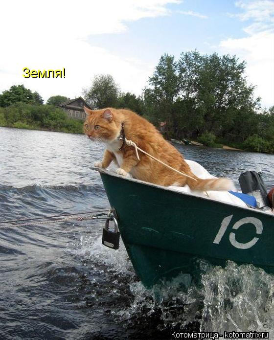 Земля!... Котоматрица: Земля!