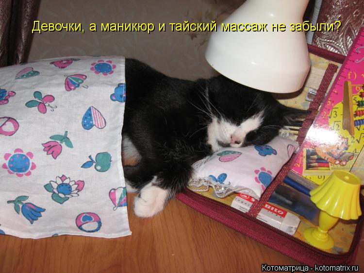 Девочки, а маникюр и тайский массаж не забыли?... Котоматрица: Девочки, а маникюр и тайский массаж не забыли?
