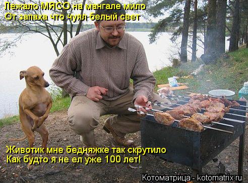 Лежало МЯСО на мангале мило От запаха что чуял белый свет Животик мне бедняжке так скрутило Как будто... Котоматрица: Лежало МЯСО на мангале мило От запаха что чуял белый свет Животик мне бедняжке так скрутило Как будто я не ел уже 100 лет!