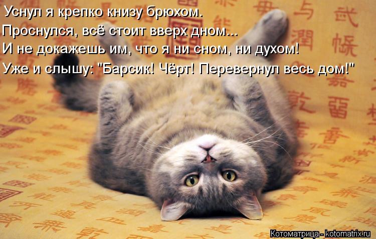 Уснул я крепко книзу брюхом. Проснулся, всё стоит вверх дном... И не докажешь им, что я ни сном, ни д... Котоматрица: Уснул я крепко книзу брюхом. Проснулся, всё стоит вверх дном... И не докажешь им, что я ни сном, ни духом! Уже и слышу: "Барсик! Чёрт! Перевернул