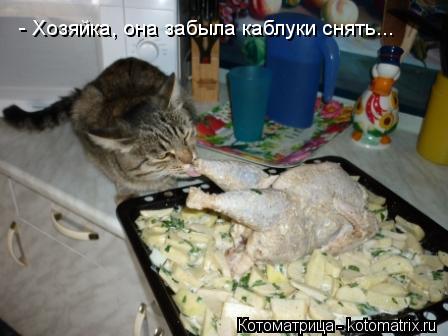 - Хозяйка, она забыла каблуки снять...... Котоматрица: - Хозяйка, она забыла каблуки снять...
