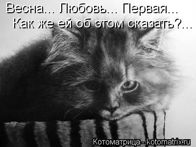 Весна... Любовь... Первая... Как же ей об этом сказать?...... Котоматрица: Весна... Любовь... Первая... Как же ей об этом сказать?...