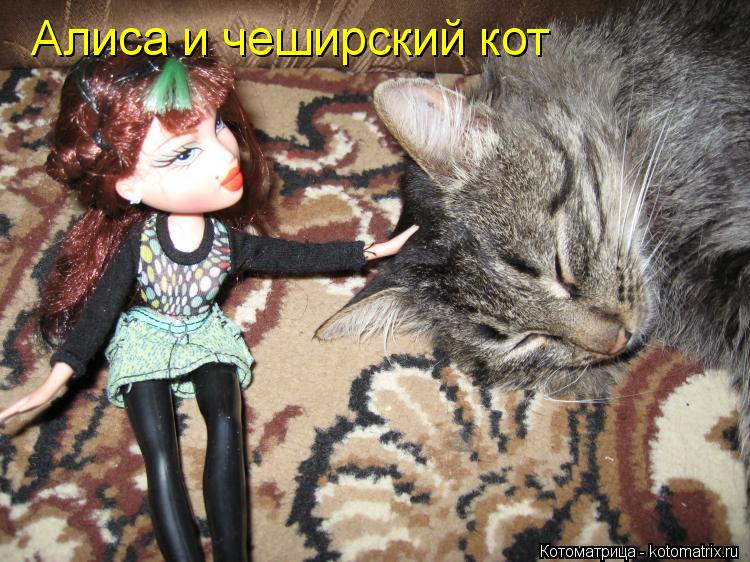Алиса и чеширский кот... Котоматрица: Алиса и чеширский кот