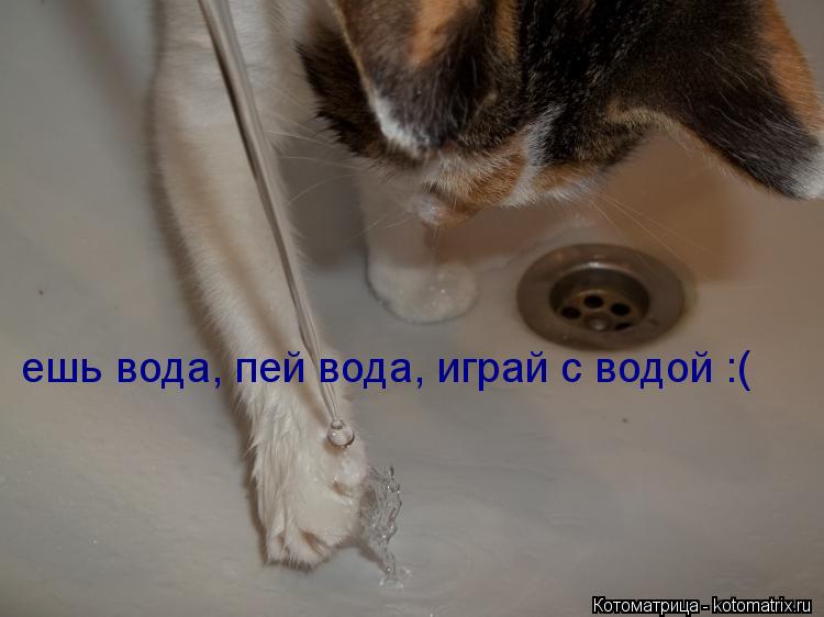ешь вода, пей вода, играй с водой :(... Котоматрица: ешь вода, пей вода, играй с водой :(