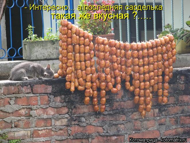 - Интересно... а последняя сарделька такая же вкусная ?........ Котоматрица: - Интересно... а последняя сарделька такая же вкусная ?.....