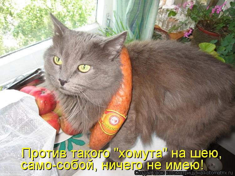 само-собой, ничего не имею! Против такого "хомута" на шею,... Котоматрица: само-собой, ничего не имею! Против такого "хомута" на шею,