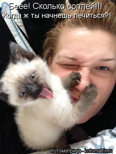 Беее! Сколько соплей!!! Когда ж ты начнешь лечиться?!... Котоматрица: Беее! Сколько соплей!!! Когда ж ты начнешь лечиться?!