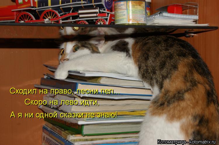 Сходил на право, песни пел... Скоро на лево идти, А я ни одной сказки не знаю!... Котоматрица: Сходил на право, песни пел... Скоро на лево идти, А я ни одной сказки не знаю!