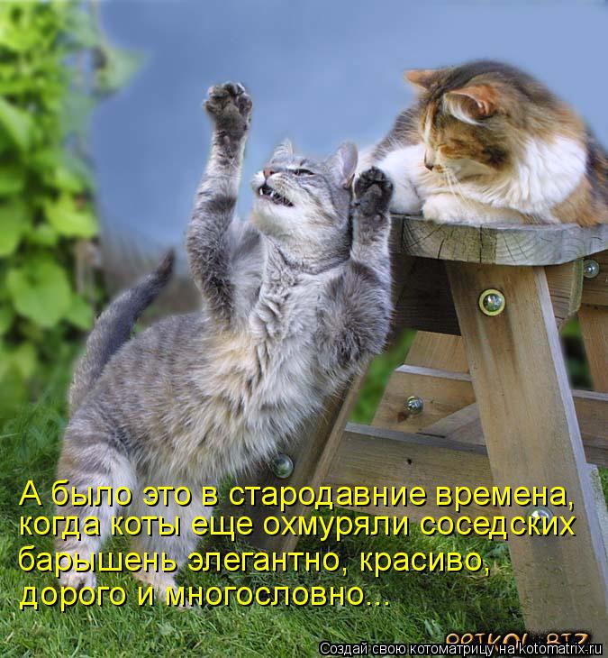 Котоматрица: А было это в стародавние времена, когда коты еще охмуряли соседских барышень элегантно, красиво, дорого и многословно...
