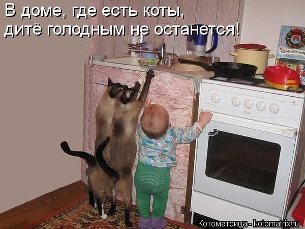 Котоматрица: В доме, где есть коты,  дитё голодным не останется!