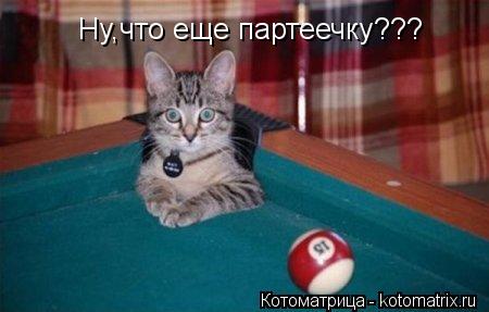 Ну,что еще партеечку???... Котоматрица: Ну,что еще партеечку???