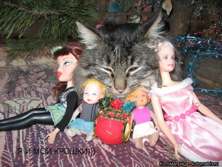 Я И МОИ КРОШКИ)))... Котоматрица: Я И МОИ КРОШКИ)))