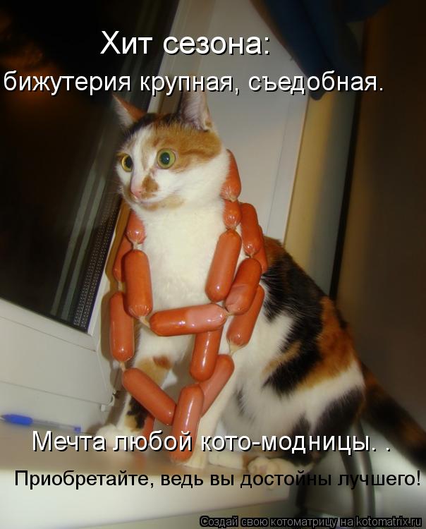Хит сезона: бижутерия крупная, съедобная. Мечта любой кото-модницы. . Приобретайте, ведь вы достойн... Котоматрица: Хит сезона: бижутерия крупная, съедобная. Мечта любой кото-модницы. . Приобретайте, ведь вы достойны лучшего!